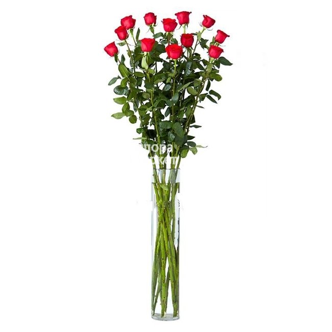Высокая роза сорта Эксплорер 100 см. в Петрозаводске от магазина цветов «Флора Маркет»