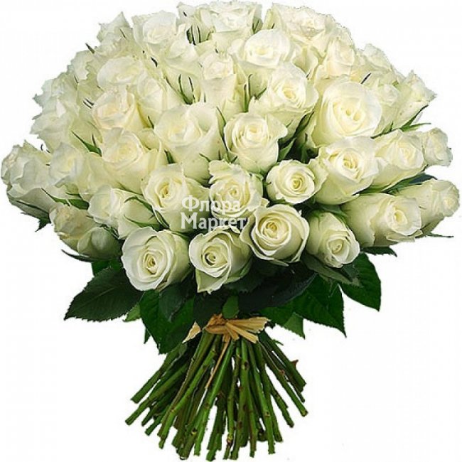 Блаженство 51 белая роза в Петрозаводске от магазина цветов «Флора Маркет»