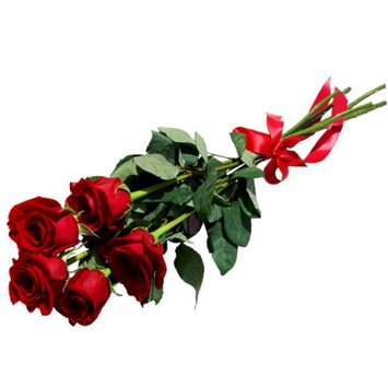 5 красных роз