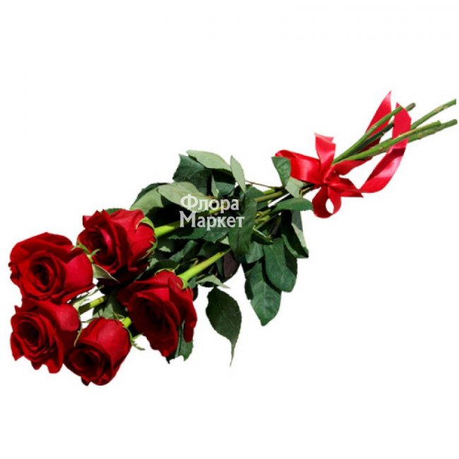 5 красных роз в Петрозаводске от магазина цветов «Флора Маркет»
