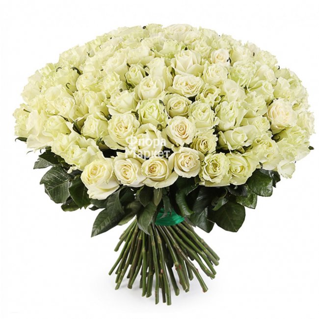 Букет для особенной девушки - 101роза в Петрозаводске от магазина цветов «Флора Маркет»