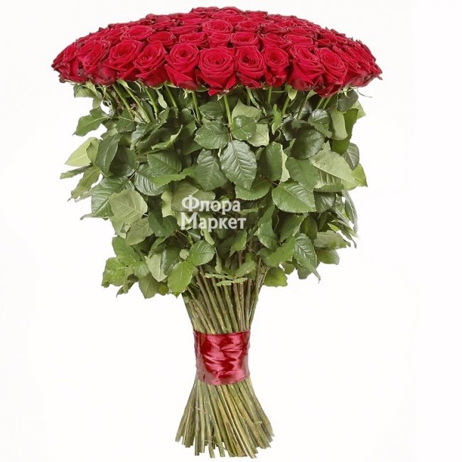 Роза сорта Explorer 90см. в Петрозаводске от магазина цветов «Флора Маркет»