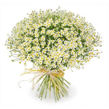 Букет ромашек