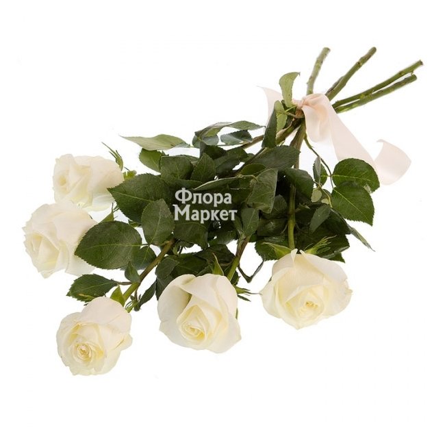 5 белых роз с лентой в Петрозаводске от магазина цветов «Флора Маркет»
