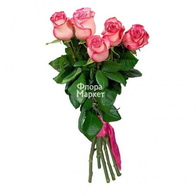 Розовая нежность - 5 ароматных роз в Петрозаводске от магазина цветов «Флора Маркет»