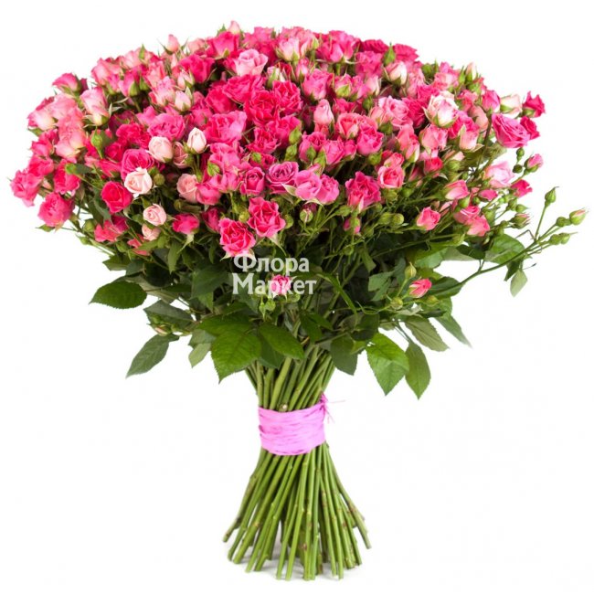 101 кустовая розовая роза для любимой в Петрозаводске от магазина цветов «Флора Маркет»