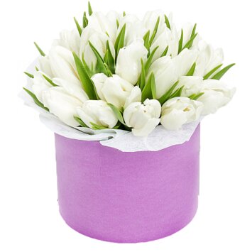 25 тюльпанов в шляпной коробке; тюльпаны доступны к заказу со 02.03.2026