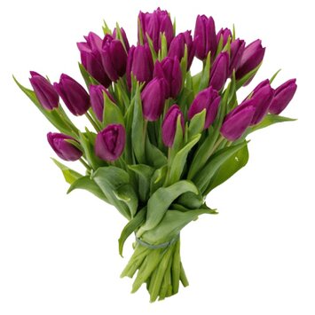 Здравствуй! тюльпаны доступны к заказу со 02.03.2026