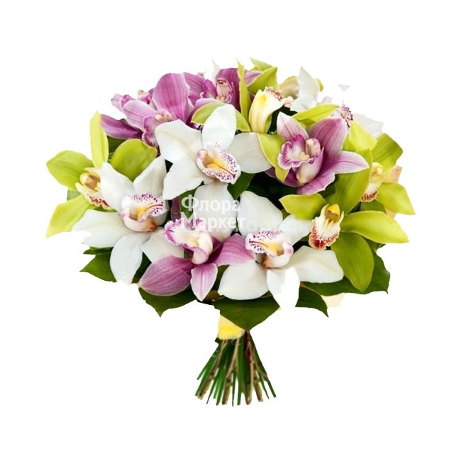 15 орхидей в Петрозаводске от магазина цветов «Флора Маркет»