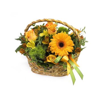 Утреннее солнышко