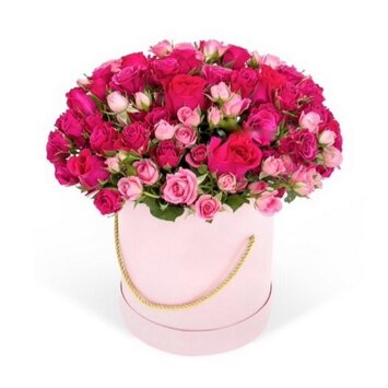 51 кустовая в коробке