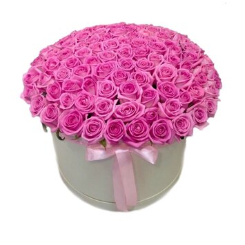 Розовый бум 101 роза в коробке