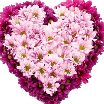 Сиреневая любовь