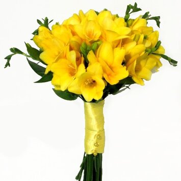 Солнечный день