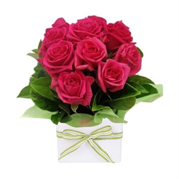 Тиффани - 9роз в коробке