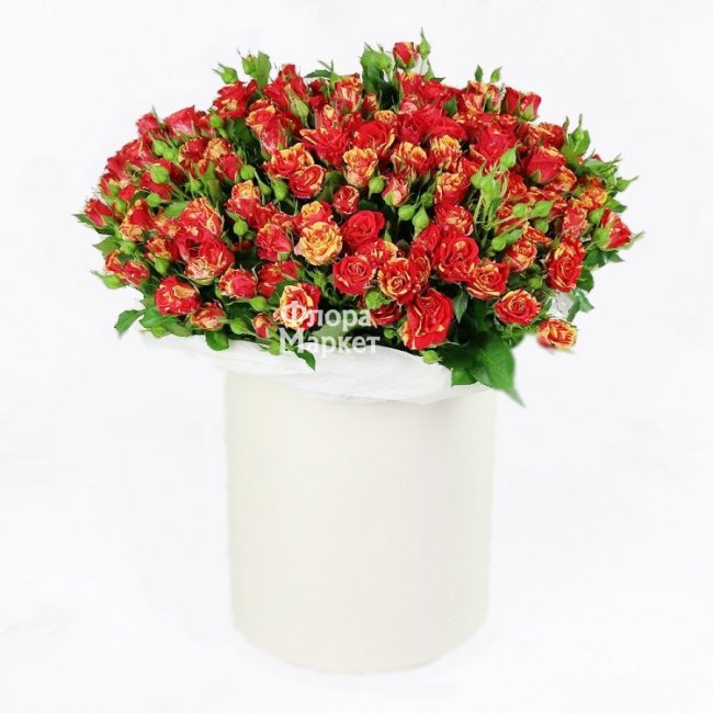Коробка роз в Петрозаводске от магазина цветов «Флора Маркет»
