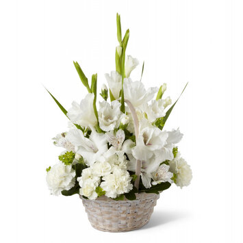 Первая зима