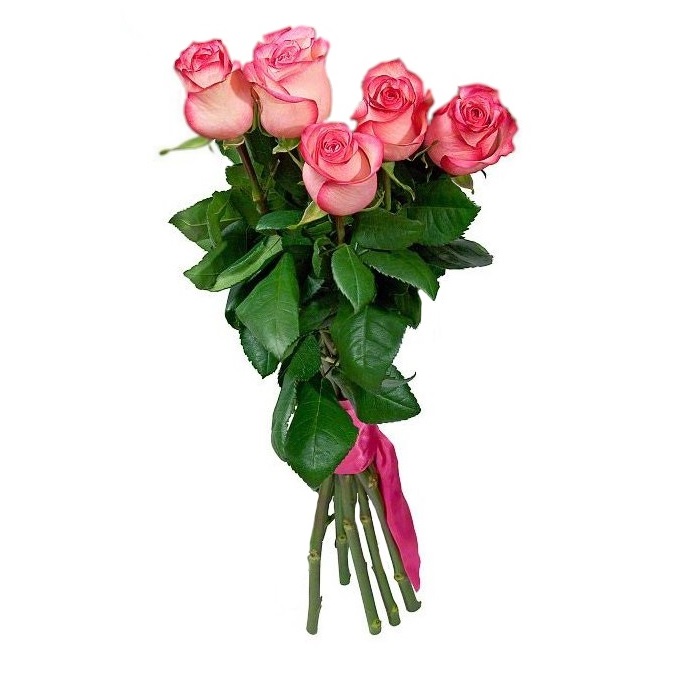 Розовая нежность - 5 ароматных роз от интернет-магазина «Флора Маркет» в Петрозаводске