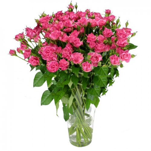 Теплые объятия от интернет-магазина «Флора Маркет» в Петрозаводске